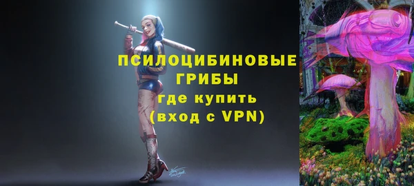 MDMA Premium VHQ Белокуриха