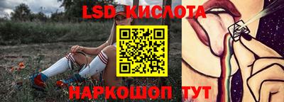 прущие грибы Донецк