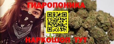 хмурый Донской