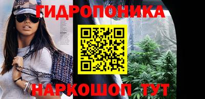 прущие грибы Донецк
