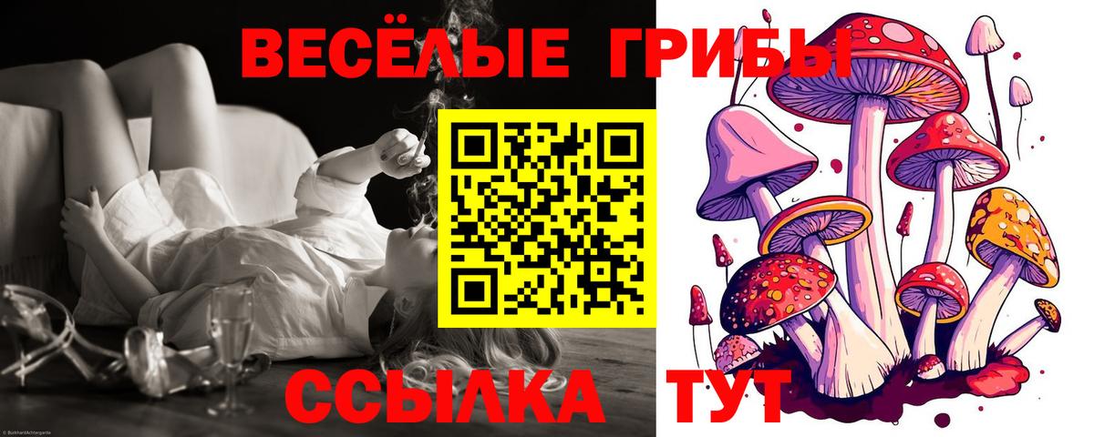 Верхний Уфалей  Галлюциногенные грибы GOLDEN TEACHER  Вход с VPN  как найти   Псилоцибиновые грибы Cubensis 